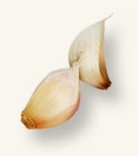 Fresh garlic cloves